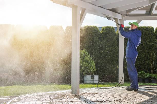 Professional Pressure Washing in Mount Plymouth, FL