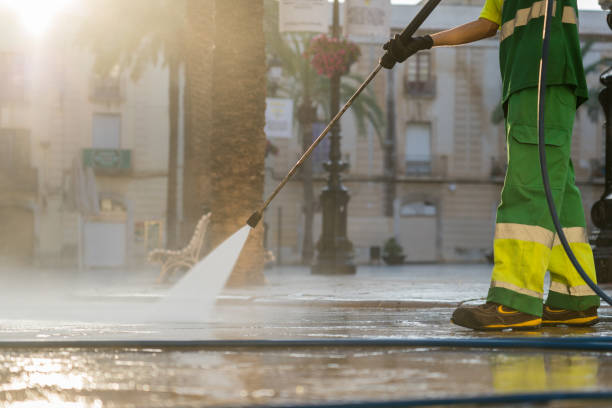 Best Spring Cleaning  in Mount Plymouth, FL